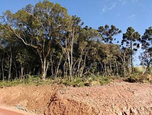 IMG_20170730_102405944